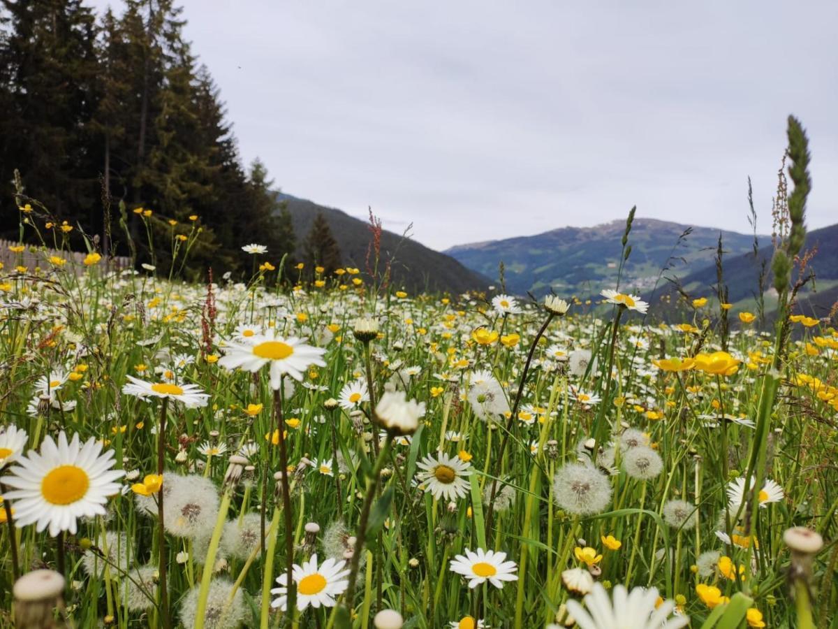 Oeberst-Hof Apartment Sarentino ภายนอก รูปภาพ
